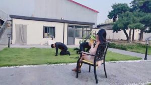 【沅芷大人】户外院子-犬化双奴/奴下奴_绳艺资料库视频资源下载