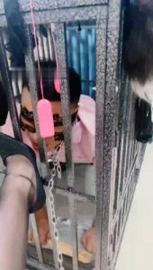 【木子大大】狗笼囚禁犬化家奴_绳艺套路直播视频资源网