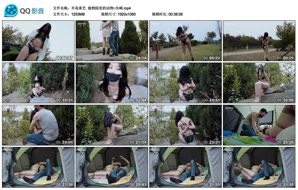 【半岛束艺】植物园里的动物~矢崎_绳艺套路直播视频资源网