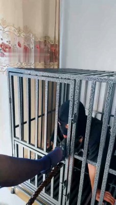 图片[2]_【爵恋霸主】黑丝高跟-狗笼圈养无脑大学生_绳艺套路直播视频资源网