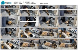 【欢乐谷】一天一夜的放置（中）_绳艺资料库视频资源下载