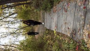 老板的骗局_绳艺资料库