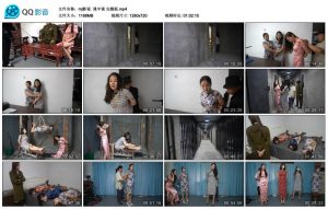 【mj影视】谍中谍 完整版_绳艺资料库视频资源下载
