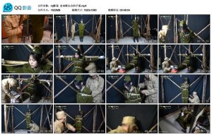 【mj影视】走向断头台的予诺_绳艺资料库视频资源下载