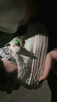 图片[5]_【女仆店S】带素人妹妹户外玩母畜_绳艺套路直播视频资源网