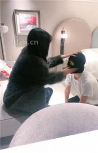 【绝美兔女王】跪舔长靴白袜裸足_绳艺资料库视频资源下载