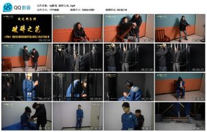 【mj影视】破碎之花_绳艺资料库视频资源下载