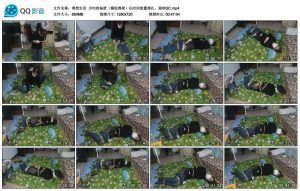 【理想生活】少妇的秘密（模拟绑架）长时间放置挣扎。强制GC_绳艺资料库视频资源下载
