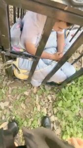 【沅芷大人】圈养家奴晨练【上】_绳艺资料库视频资源下载