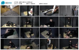 【mj影视】地窖少女之朱婷婷_绳艺资料库视频资源下载