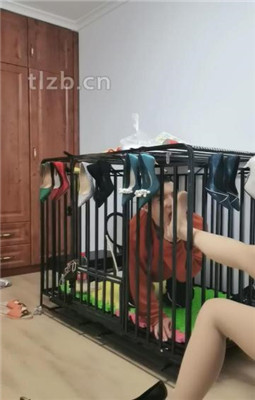图片[20]_【凌儿女神】恋足的畜生-鞭打/sp/踢踹_绳艺资料库视频资源下载