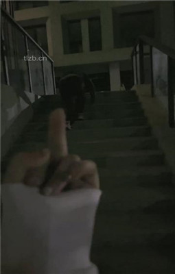 图片[5]_【清禾】小区楼下遛狗犬化男友_绳艺资料库视频资源下载