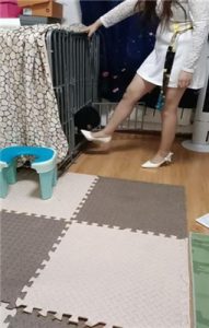 【平凡】圈养狗奴犬化实录_绳艺资料库视频资源下载