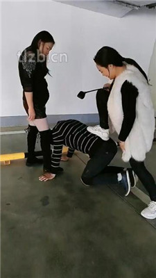 图片[3]_【广州迪迪】双S-户外停车场遛狗【双视角版】_绳艺资料库