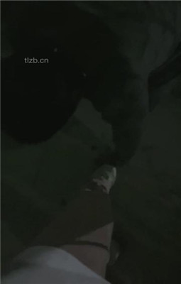 图片[3]_【清禾】小区楼下遛狗犬化男友_绳艺资料库视频资源下载