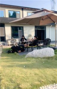 【沅芷大人】双S-伺候主人吃饭【双视角版】_绳艺资料库视频资源下载
