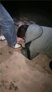 【小雅老师】户外tj老狗-圣水口水喂食场-脏！_绳艺资料库视频资源下载