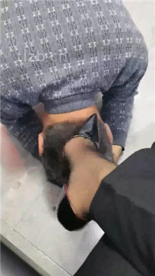 图片[14]_【冷御女王】狗奴幸福狗生-赏赐与惩罚_绳艺资料库视频资源下载