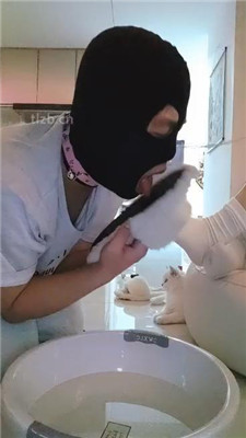 图片[7]_【小猫】舔毛拖鞋白袜/伺候沐足_绳艺套路直播视频资源网