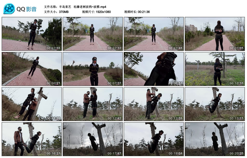 【半岛束艺】枯藤老树波鸦~波雅_绳艺资料库视频资源下载
