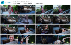 【半岛束艺】诱饵和陷阱~缇娜奎因_绳艺资料库