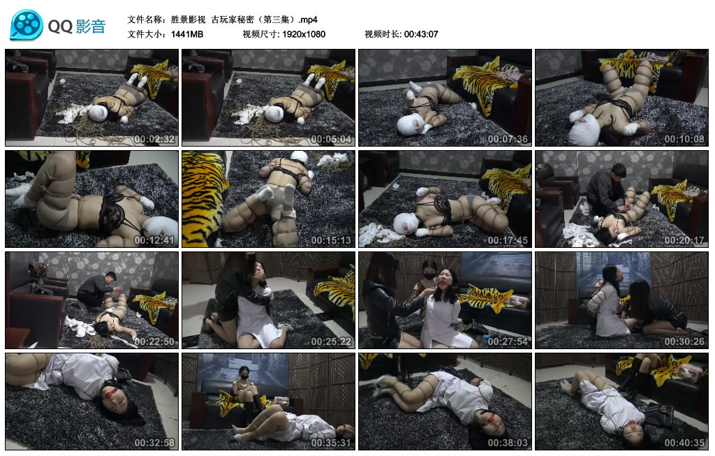 【胜景影视】古玩家秘密（第三集）_绳艺资料库