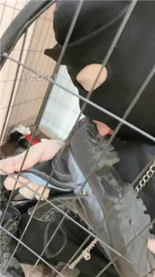 图片[4]_【猫咪大大】真实圈养狗-舔脏鞋底/吃剩饭剩菜/开发圣水_绳艺资料库视频资源下载