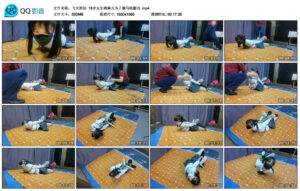 【飞天原创】18岁女生晓琳儿为了驷马练腰功_绳艺资料库