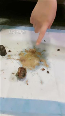 图片[3]-素人星探】20分钟不间断呕吐物-绳艺资源网