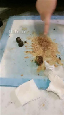 图片[11]-素人星探】20分钟不间断呕吐物-绳艺资源网