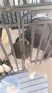 【bibi团】狗笼圈养囚禁/人体鞋架/伺候沐足_绳艺资料库