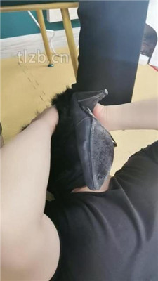 图片[12]-魔鬼天使】高跟碾压狗爪/强制闻鞋/磕头求饶/骑马爬-绳艺资源网