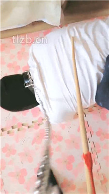 图片[8]-蓝蜻蜓】藤条鞭打/骑马爬行-绳艺资源网