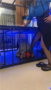 【梓夫人】姐妹花暴力虐打搬运工_绳艺资料库