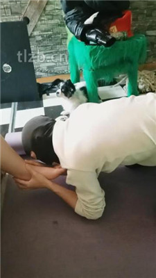 【哈市77s】跪舔高跟臭脚丫_绳艺资料库