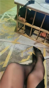 【咩祖】把狗圈养在茶几底下_绳艺资料库