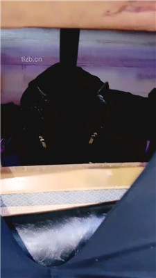 【芷镜】养生馆公开处刑踩狗【完整版】_绳艺资料库