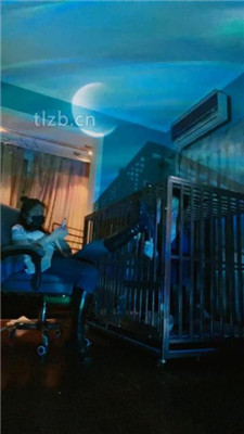 【语阳】狗笼圈养驯化前任_绳艺资料库