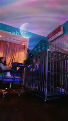 图片[2]-语阳】狗笼圈养驯化前任