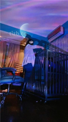 图片[5]-语阳】狗笼圈养驯化前任