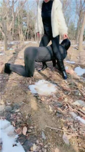 【高傲】户外训狗_绳艺资料库