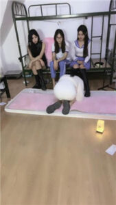 【天津女仆店】3S_绳艺资料库