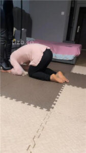 【薇娅】圈养生活犬化训练【下】_绳艺资料库