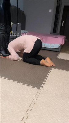 【薇娅】圈养生活犬化训练【下】_绳艺资料库