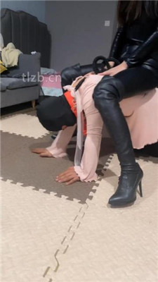 图片[4]-薇娅】圈养生活犬化训练下】