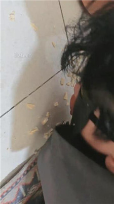 图片[11]-yukis】深夜狗来吃剩饭