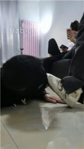 【文文文】骑马/舔脏鞋/品尝素人裸足【三视角版】_绳艺资料库