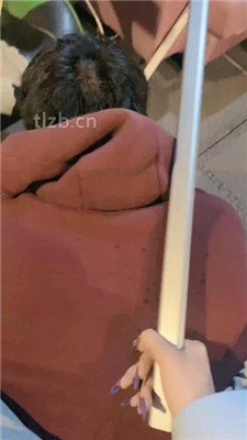 图片[4]-冰诺】重度虐打惩罚偷懒家奴