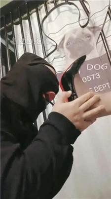 图片[11]-昭月】暗黑刑房-刑讯逼供的乐趣下】