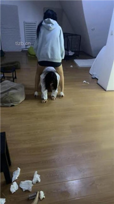 图片[6]-女仆店萌萌】圈养母畜没睡醒就被姐妹花玩弄